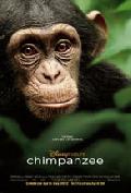Click for detailed review of CHIMPANZEE